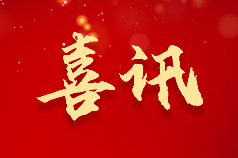 17291347336710808d37724